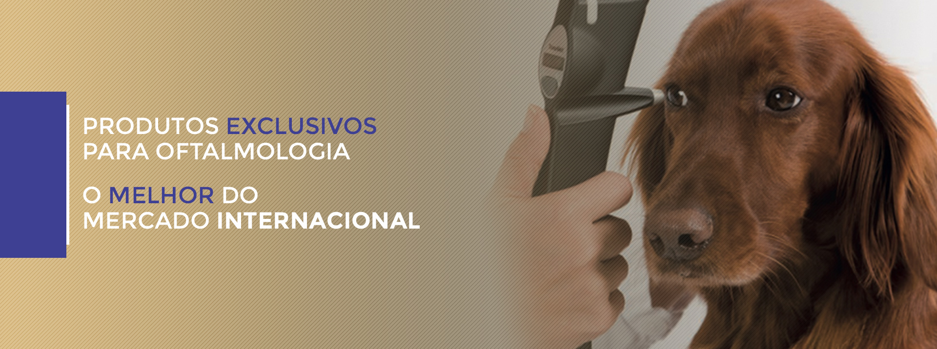 Importrading Produtos Exclusivos